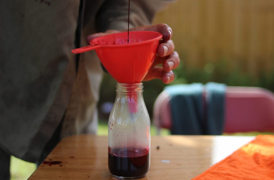 Foraging berries to make medicinal syrups